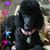 Mindy Knapp's profile image