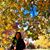 Kim Huang's profile image