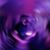 Mike Bacon Jr.'s profile image
