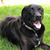 Jenny Krause's profile image