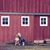 Misty Snow Pehl's profile image