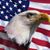 Katie Chisholm's profile image