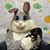 Kelly Errington's profile image