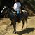 Chris Carpenter's profile image