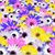 Cathy Ulrich-Mattson's profile image