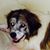 Jay Whisnant's profile image