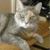 Laura Floody's profile image