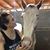 Amy Calhoun Wilson's profile image
