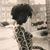 Bethia Jean-Marie's profile image