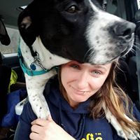 Sage Otto's profile image