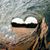Monee Rochelle-Swartz's profile image