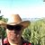 Stephen Jolly's profile image