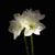 May Mack's profile image