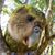 Michel Campbell's profile image