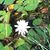 Christine Wilhoit Volponi's profile image