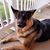 Linda Miller's profile image