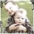 Sarah Sutley's profile image