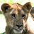 Carol Lockwood's profile image