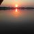 Rita McMichael's profile image