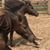 Jacqueline Kinsey's profile image