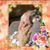 Selina Maggi Varich's profile image