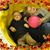 Donna Campbell's profile image