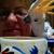 Diane Webster's profile image