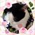 Linda Joyce Pillsbury's profile image