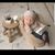 Susan Herren's profile image