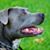 Barbara Baldwin Sulier's profile image