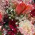 Lisa Amnotte's profile image