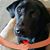 Jacqueline Irene Reilly's profile image