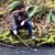 David Zambrano's profile image