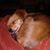 Jolie McGuire's profile image