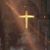 Patricia DeStefano's profile image