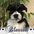 Beverly Smith's profile image