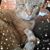 Judy Phillips's profile image