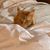 Joyce Tyrell's profile image