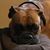 Darrin Urgo's profile image