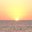 Gail Koerner's profile image