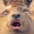 Jarrett Daniel Chambers's profile image