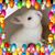 Maria Smith Monroe's profile image