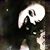 Ashley St Aubin's profile image