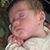 Sherry Short Vidich's profile image