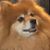 Jennifer Furlong's profile image