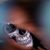 Gabriel Nava's profile image