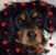 Lori Rainwater's profile image