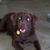 Branch DeVries's profile image