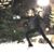 Sharon Gordon's profile image