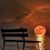 Mary Moyer's profile image